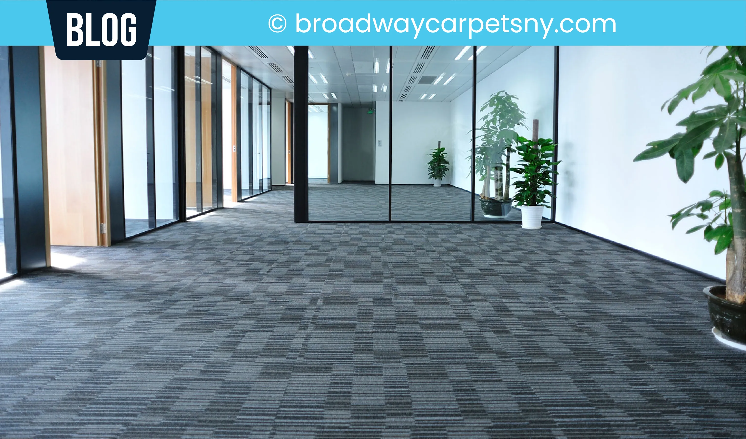 carpet cleaning in new york, carpet cleaning New York, carpet cleaners in New York, commercial carpet cleaning, commercial carpet cleaning in New York, New York rug cleaners, rug cleaning services in New York, same day carpet cleaning, same day rug cleaning, upholstery cleaning services in new york, carpet cleaning services in ny, ny carpet cleaning , rug cleaning ny, upholstery cleaning ny